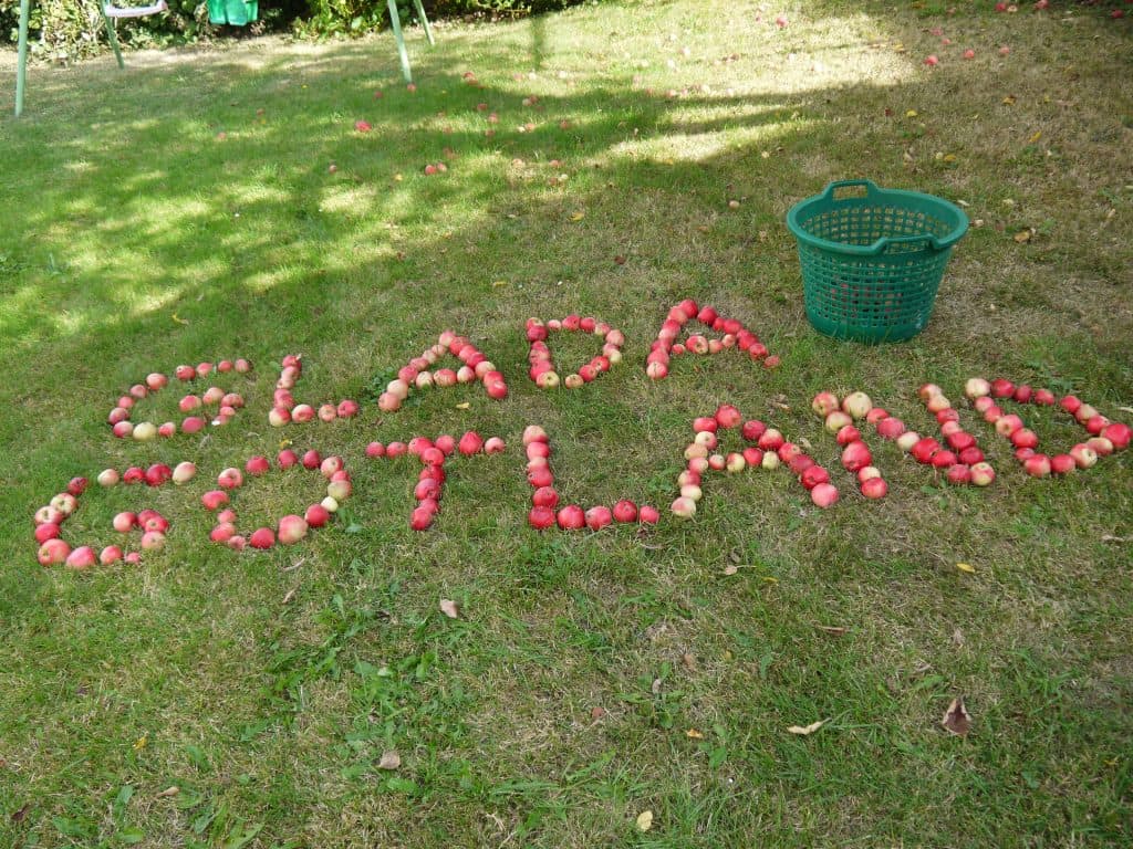 Glada Gotland äpplen 011