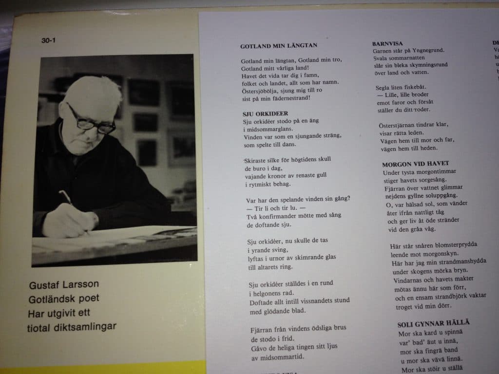 Gustav Larsson 004